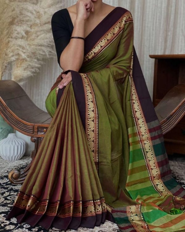 greenish saree_adobespark